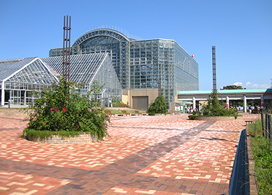響灘緑地グリーンパーク（バラ園）の写真
